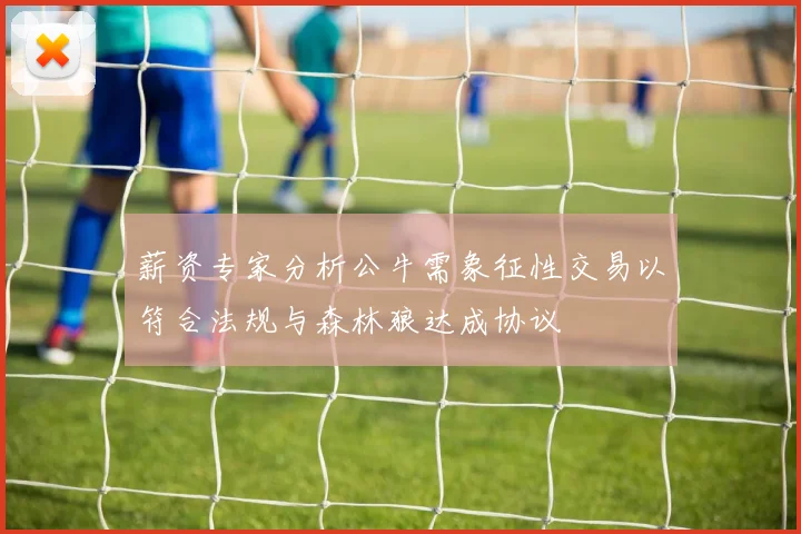 薪资专家分析公牛需象征性交易以符合法规与森林狼达成协议